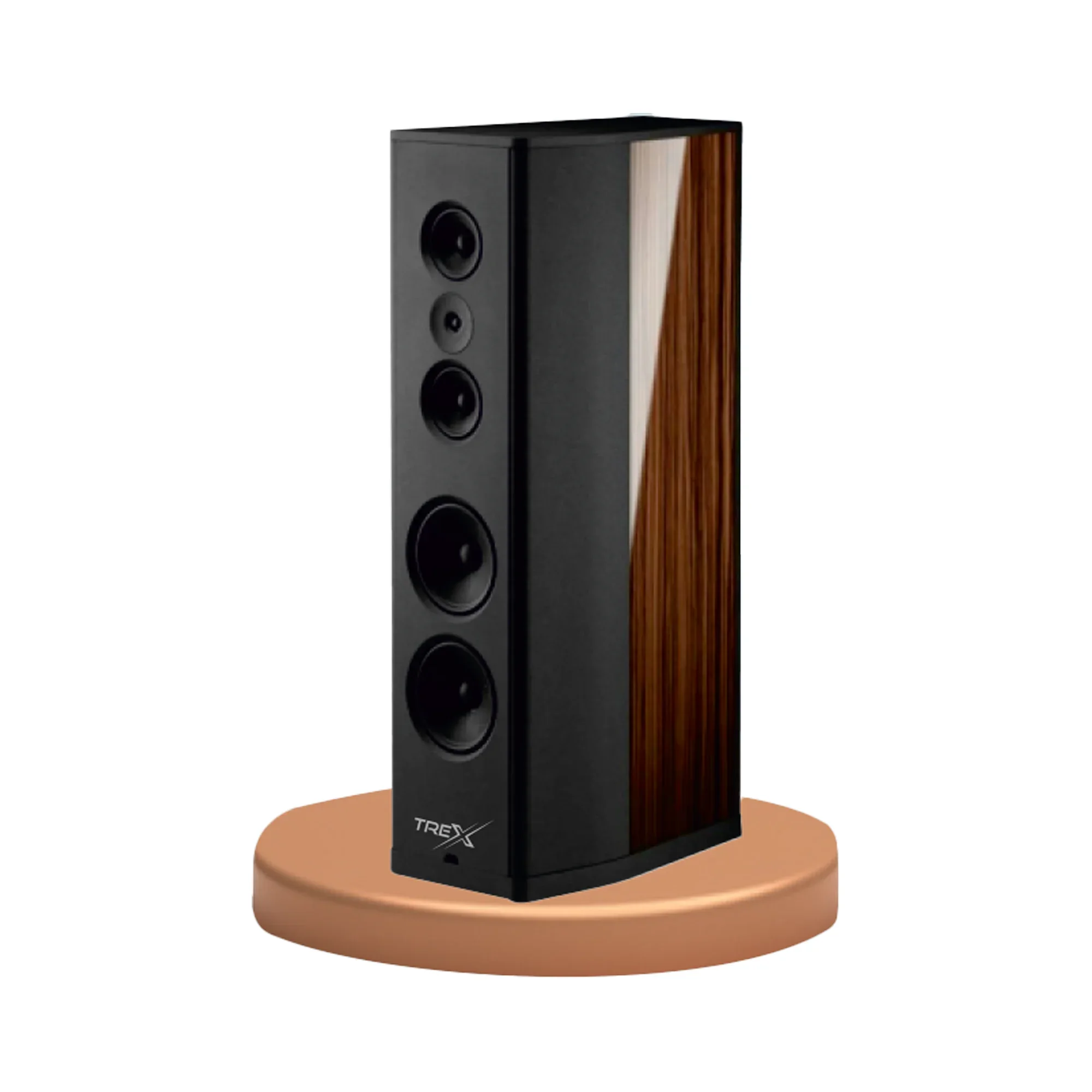 Treco Professional Speaker professional speaker