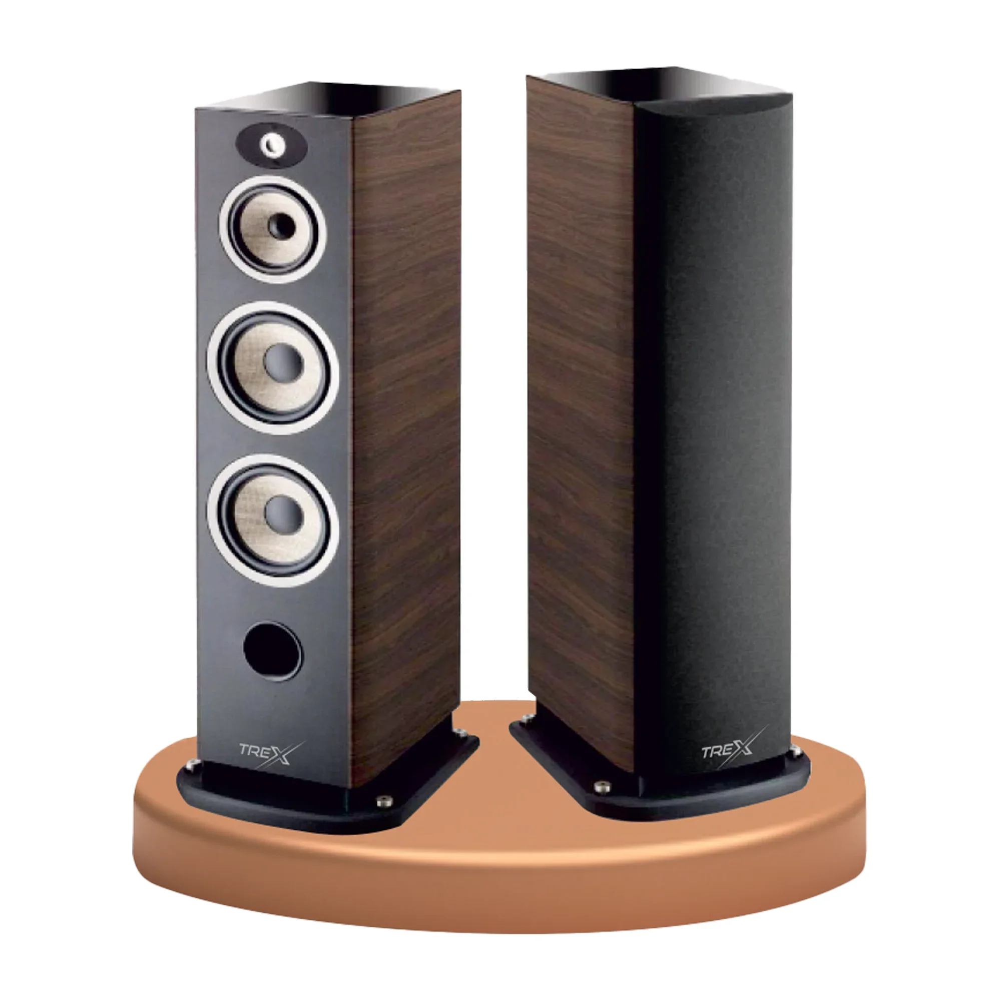 Treco Professional Speaker professional speaker