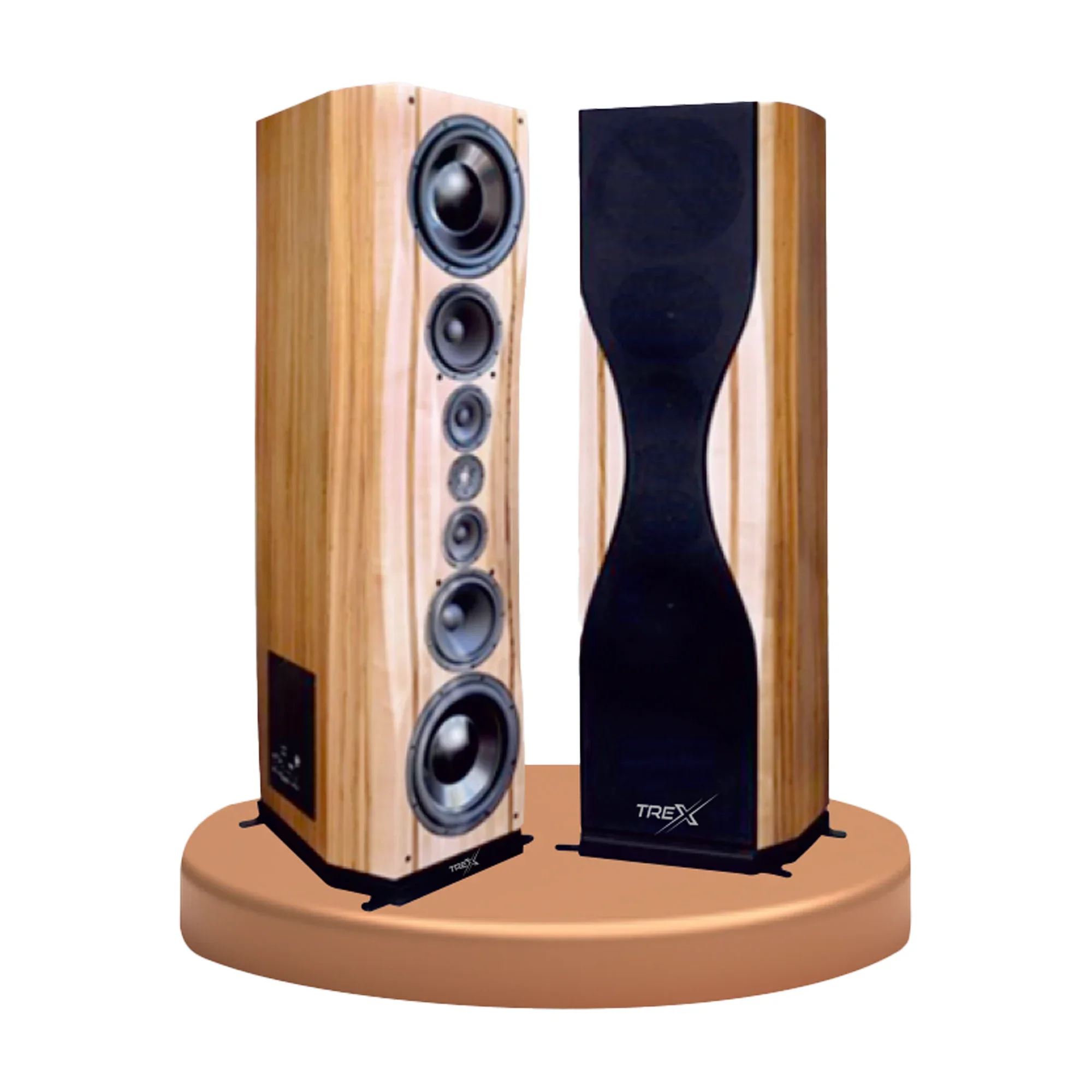 Treco Professional Speaker professional speaker
