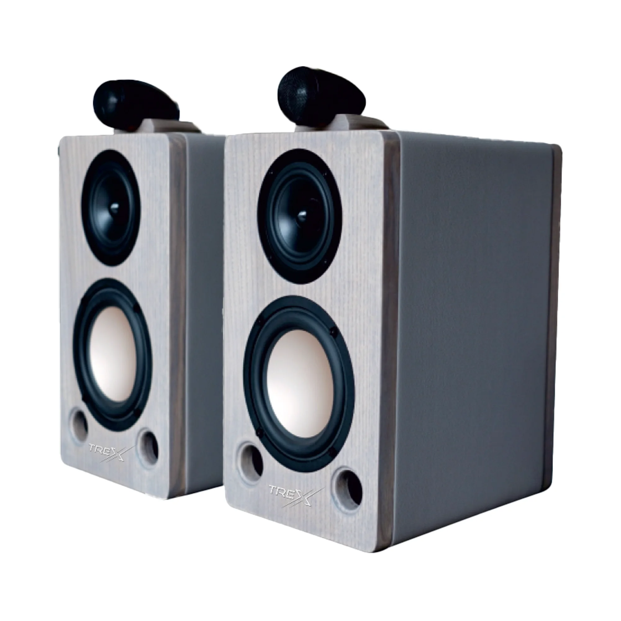 Treco Professional Speaker professional speaker
